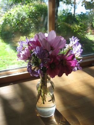 img_2213.jpg