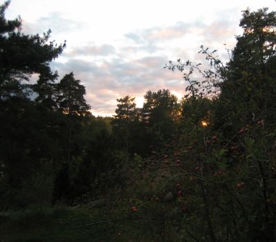 img_2220.jpg