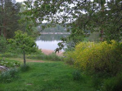 img_0595.jpg