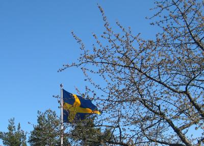 Vår vackra flagga ...