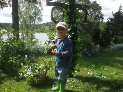 img_5108 Jag är väldigt duktig på att klä en midsommarstång ...