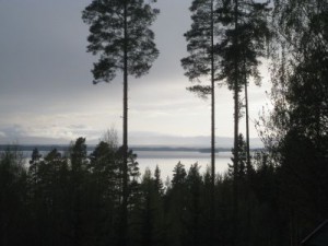 IMG_1024