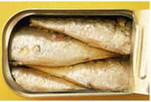 sardiner