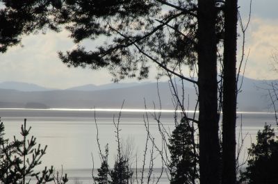 Det går inte att återge den bländande silverstrimman - men tro mej, det är magiskt ...
