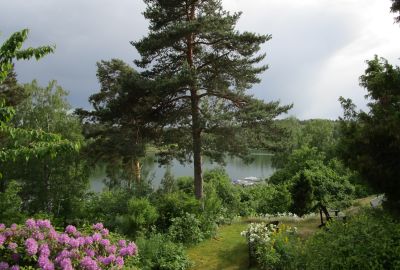 Jag älskar ljuset när det hänger regn i luften ...