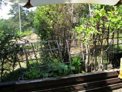 Så här bedrövligt såg det ut ...