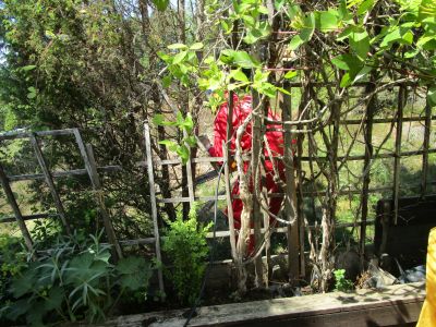 En försiktig start ...