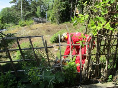 Nu har vi full koll på grannarna ...