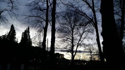 Skymning på kyrkogården ...