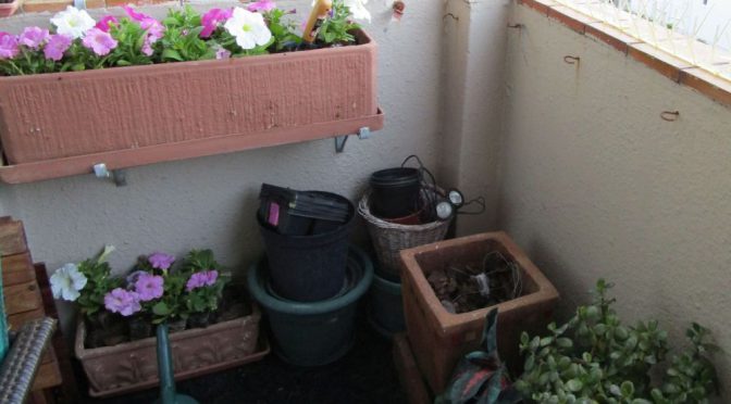 Här har säsongen rivstartat …