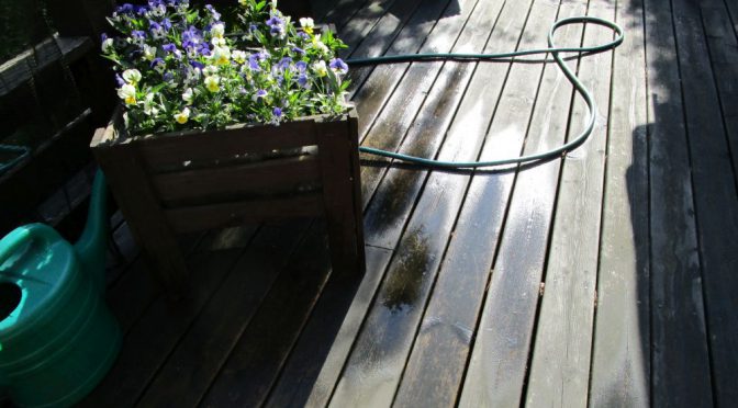 En ljuvlig tid som går för fort …