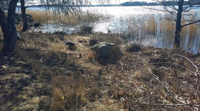 Vårligt …